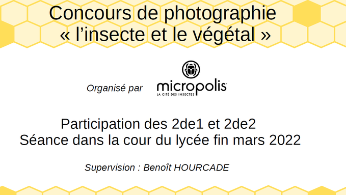 Concours .png